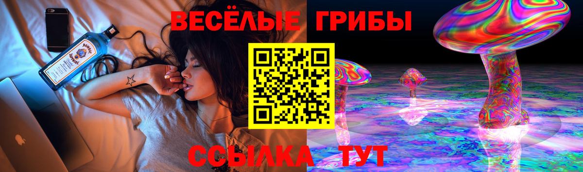 Псилоцибиновые грибы прущие грибы  Вход с VPN  Лесозаводск 